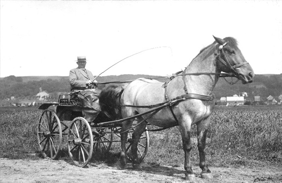 Fil:Engenes herre.jpeg